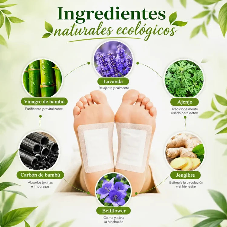 Parches Kinoki |Eliminan y Desintoxican tu cuerpo